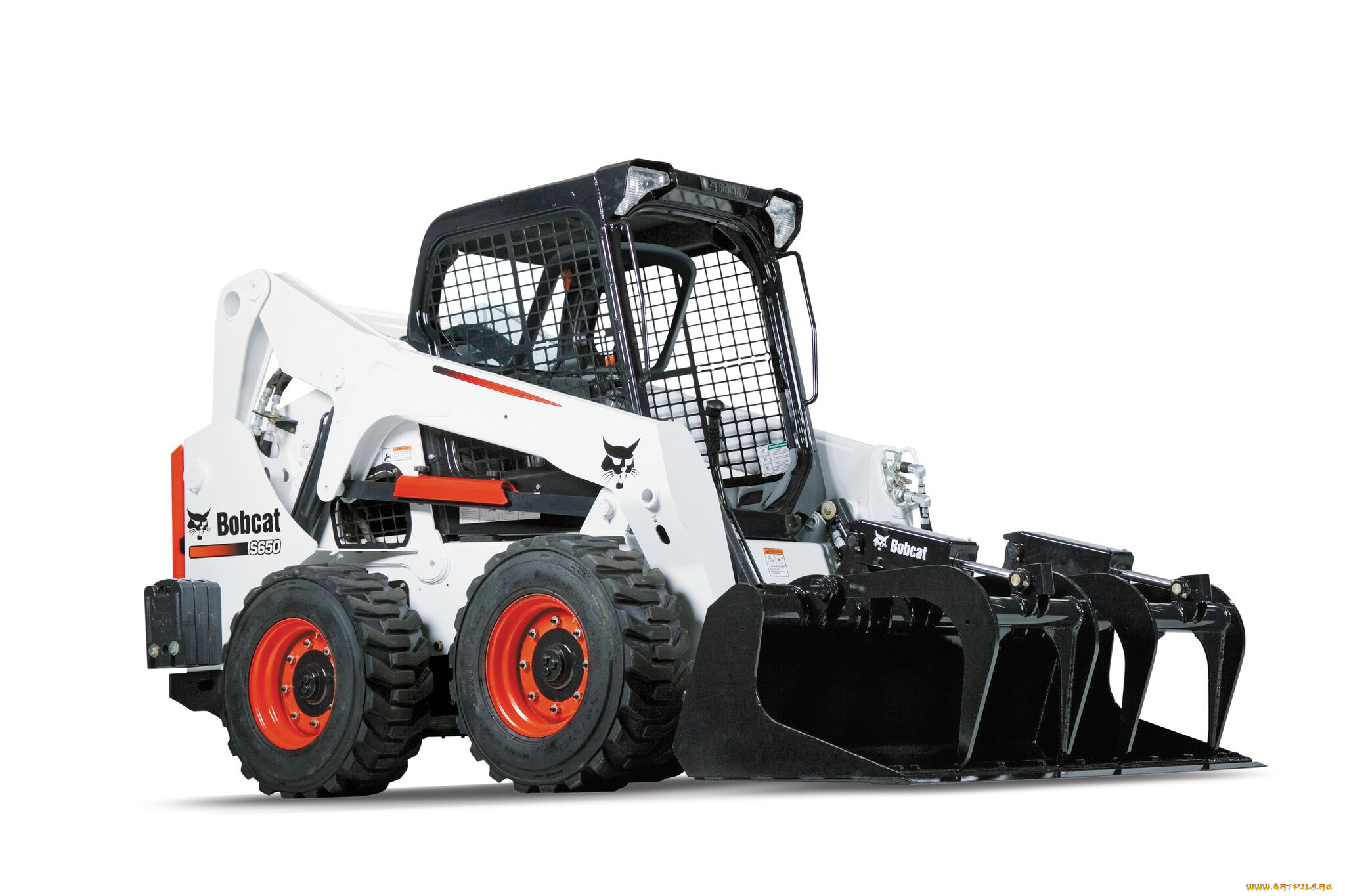 , , bobcat